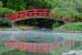 HsykesPhoto Duke Gardens Photography Icon contains an arched bridge, lake and fog